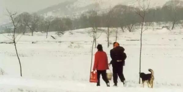 邓又新：走嘎嘎