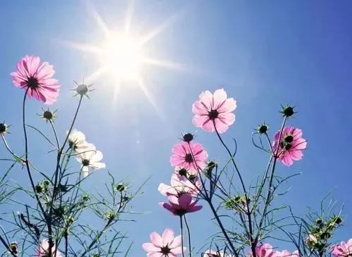 谭晓霞：静待花开