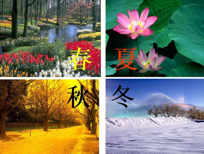 刘晓庆：四季情歌(组诗)