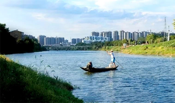 张扬:孝感澴酒,是谁沉醉在东风里
