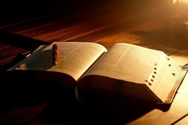 刘恒：认真精心的阅读是第一步