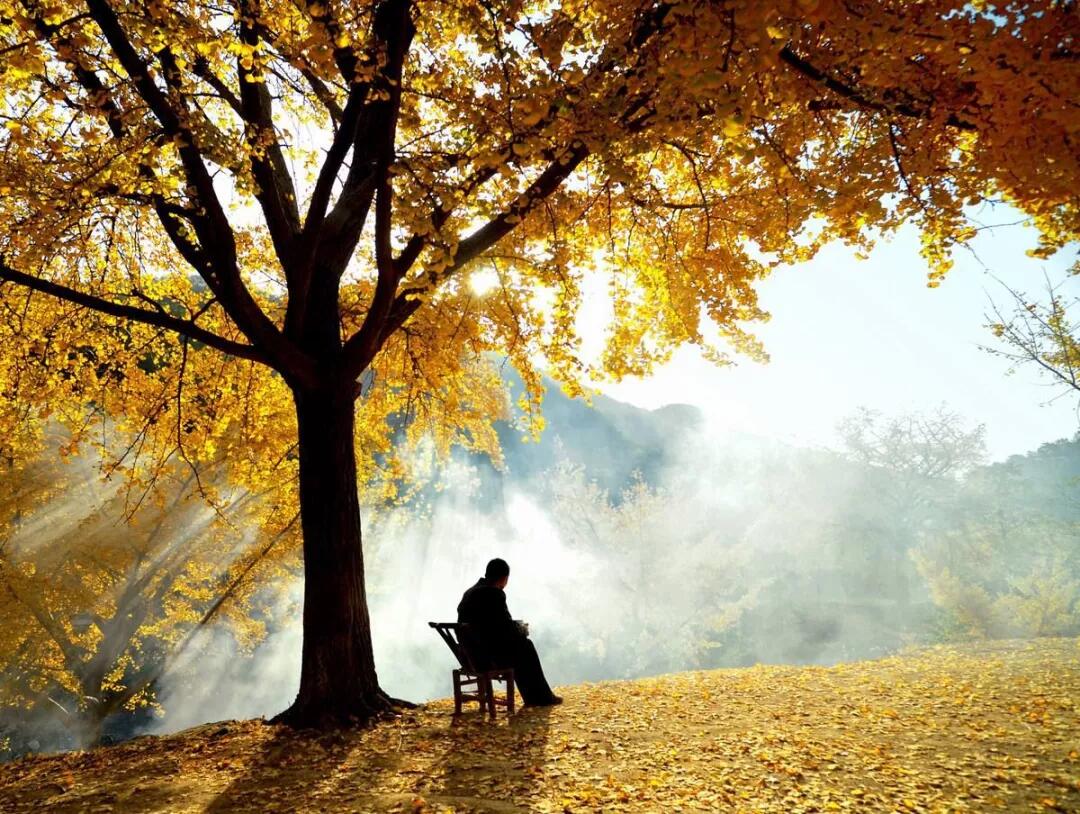 刘鸿凌：钱冲：审视生命的道场