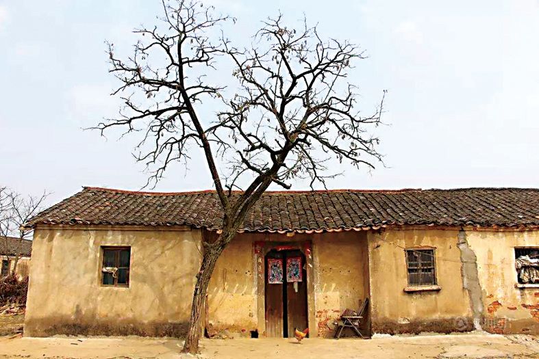 喻秀燕：无处安放的乡愁 ·老屋