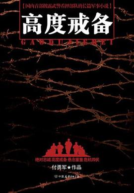 《高度戒备》长篇小说（付勇军）                                   
