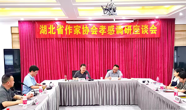 湖北省作家协会党组书记文坤斗一行莅临孝感调研