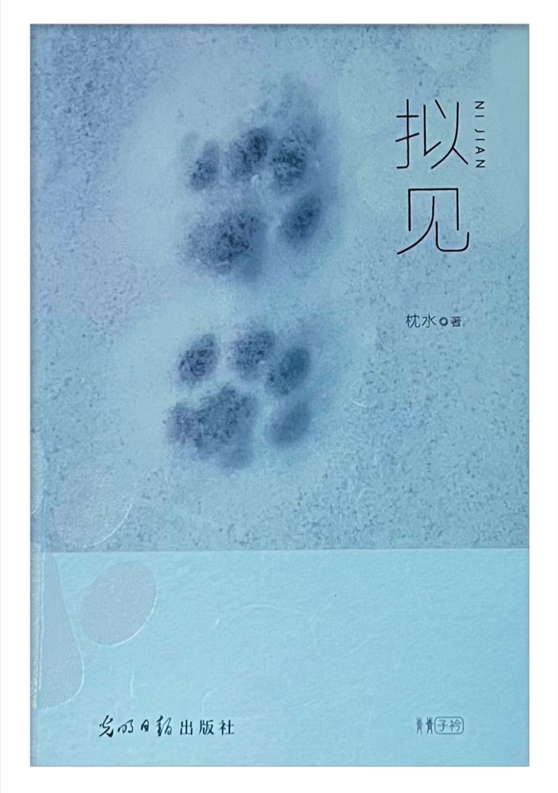 枕水诗集《拟见》正式出版发行                                    