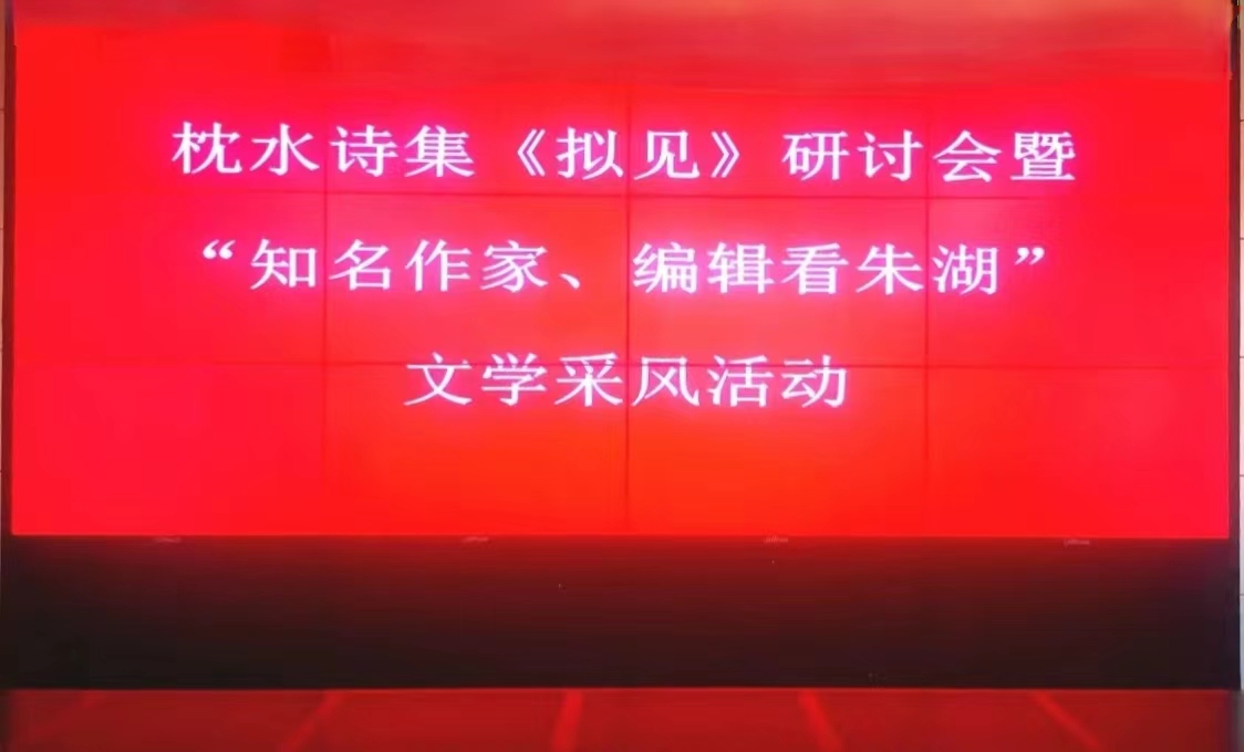 枕水诗集《拟见》研讨会暨“知名作家、编辑看朱湖文学采风”在朱湖举行