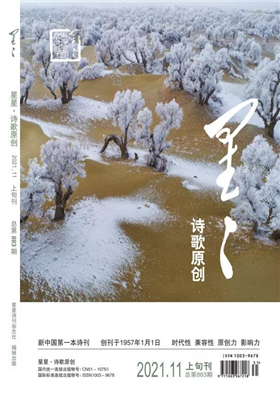 《星星 .诗歌原创》11期目录                                   