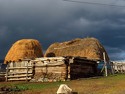 微型小说鉴赏：莜面秸窝里