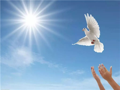 朱道能：给我一个支点