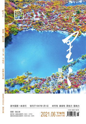 《星星·散文诗》2021年06期目录                                