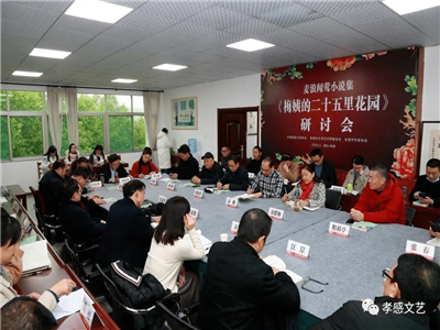 麦浪闻莺小小说集《梅姨的二十五里花园》研讨会在孝感举行