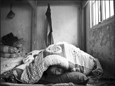 赵德发：通腿儿