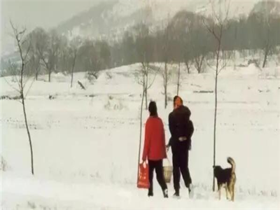 邓又新：走嘎嘎