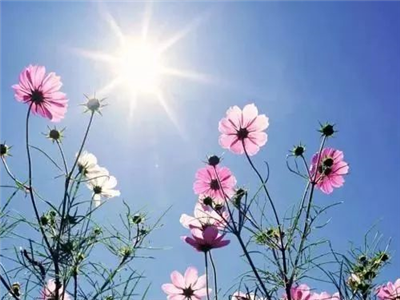 谭晓霞：静待花开