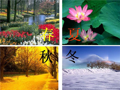 刘晓庆：四季情歌(组诗)