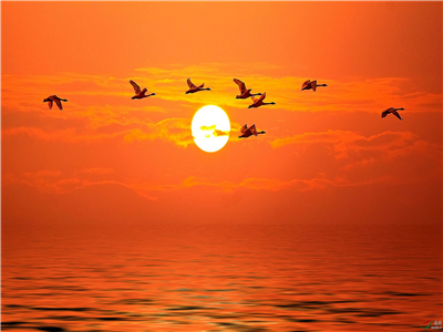 2021年度湖北文学创作综述——孝感作家篇