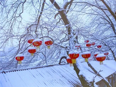 周志祥：期盼一场雪