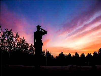 周耘芳：桐子树上结桐子