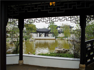 张扬：梦里江南