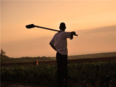 语文考试阅读题：朱道能：最后的午餐（附答案）