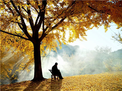 刘鸿凌：钱冲：审视生命的道场