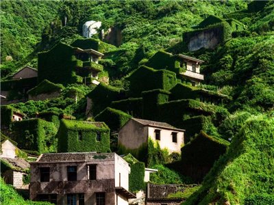 喻秀燕：无处安放的乡愁 . 村庄