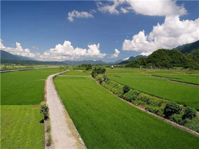 邓又新： 回乡下老家