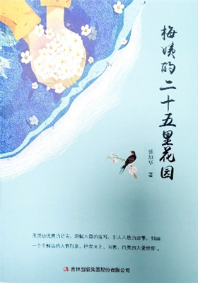 《梅姨的二十五里花园》小说集（谈旭华）                               