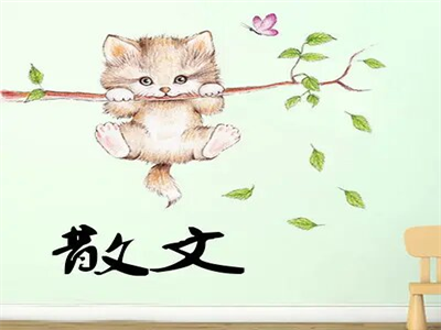 韩小蕙：散文渴望创新