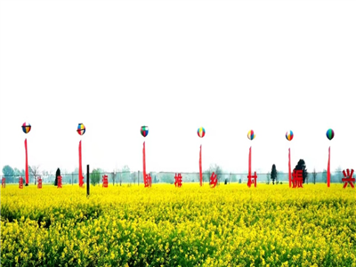 【云梦文讯】孝感市作家协会一行应邀参加云梦油菜花海文化旅游节