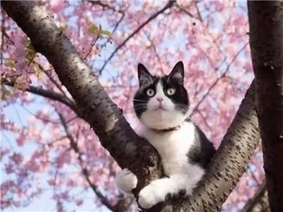 梅良雄：三月，邂逅春天