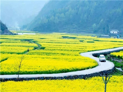 周志祥：芳菲四月天