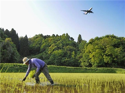 赵金禾：机翼下的天河故土——我的乡村记忆