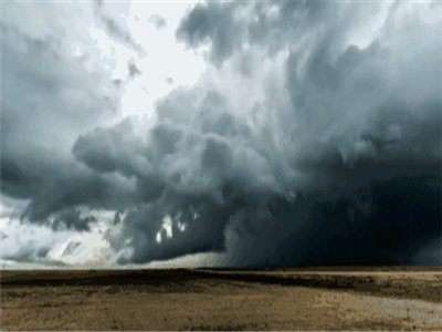 万雁：风流云散