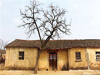 杨琴：故乡，在孤独中渐渐老去