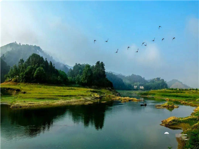 余建国：梦回余家嘴