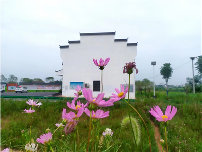 统塑采风之一：熊尉东的诗