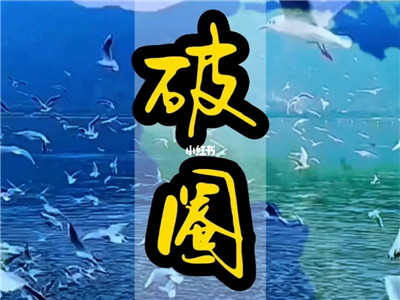 谢泽杰：作家“出镜”，文学“出圈”