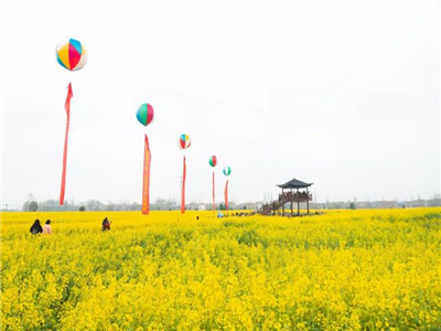 汤秀英：胡金店之春（组诗）