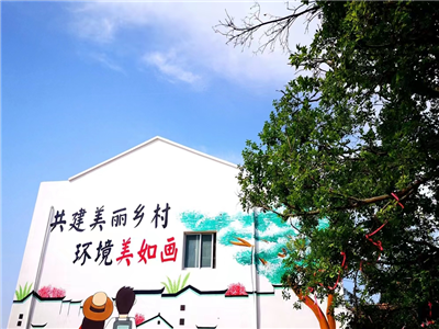 孝感市作协楚风网文学采风走进桃花古驿杨店镇