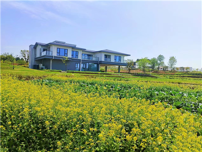 枕水：杨店采风行（组诗）