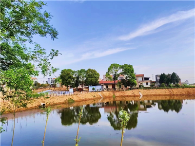 高巧燕：杨店采风行（组诗）