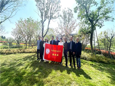 程文刚：杨店釆风行（组诗）