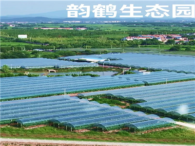 【获奖作品选登】郭丹霞：乐游韵鹤生态园