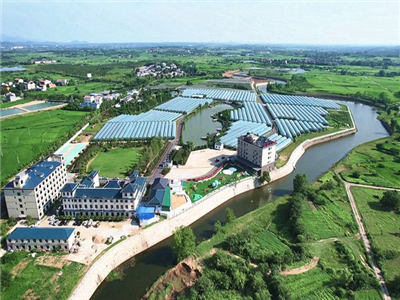 【获奖作品选登】刘鸿凌：人生亦可如初见