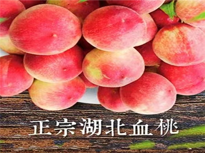 程文刚：七仙红庄园打卡（外二首）