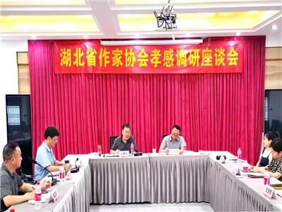 湖北省作家协会党组书记文坤斗一行莅临孝感调研