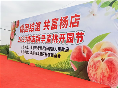 高巧燕：杨店早蜜桃开园节（外二首）