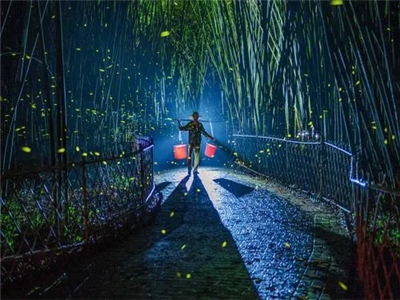 【获奖作品选登】陈佳勇：阅读是最长情的陪伴